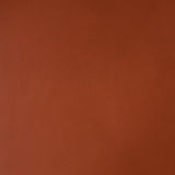 Buffalo Tan Top-Grain Leather Side